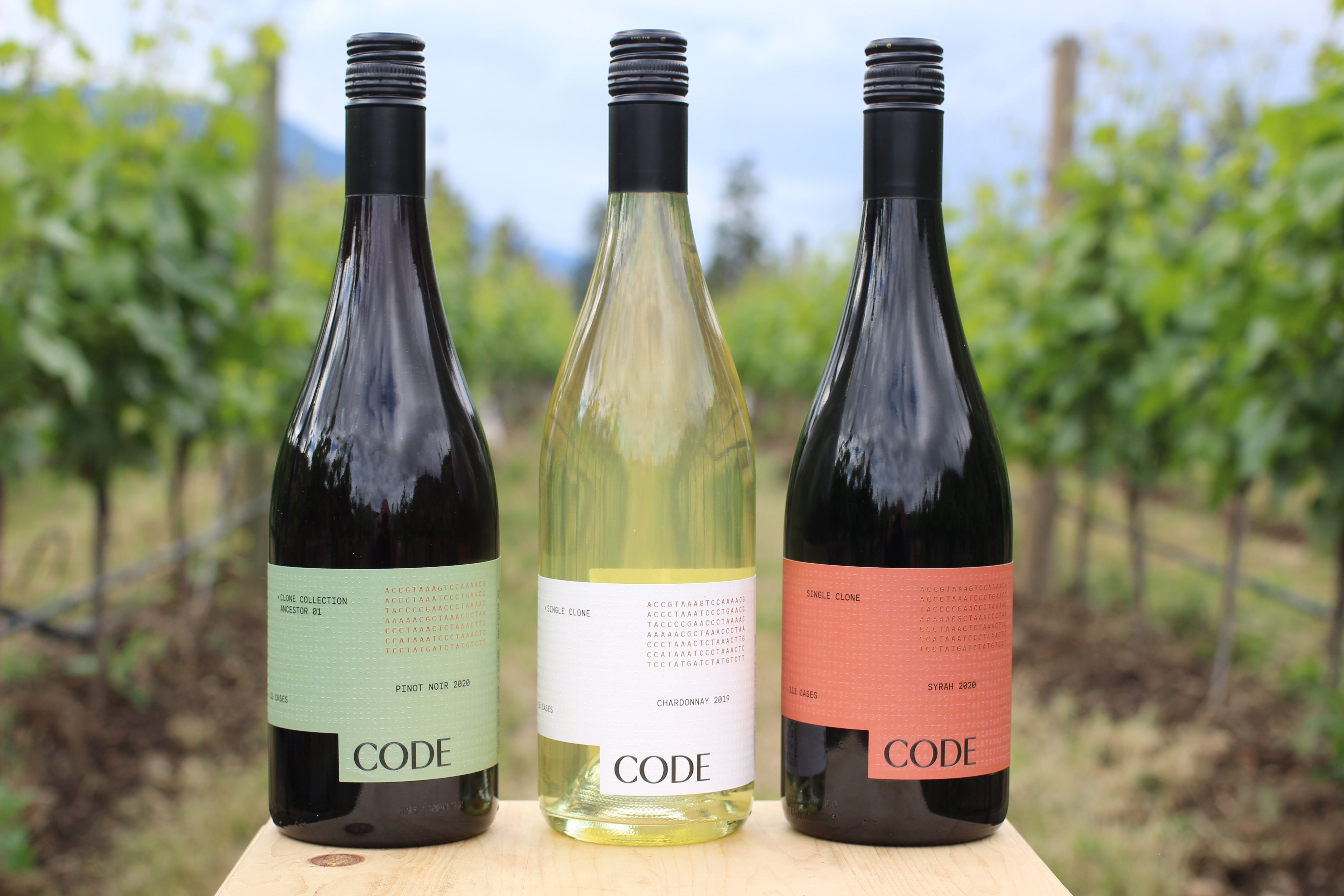 All Wines Code Wines