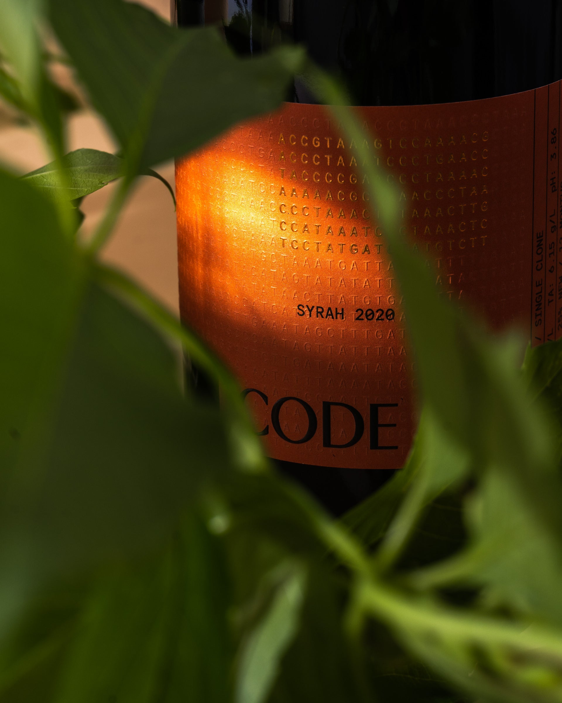 Schreiner Visits CODE and rates Syrah & Pinot Noir 93 Points – Code Wines